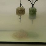 Технопланктон на толстолобика своими руками: топ 5 рецептов